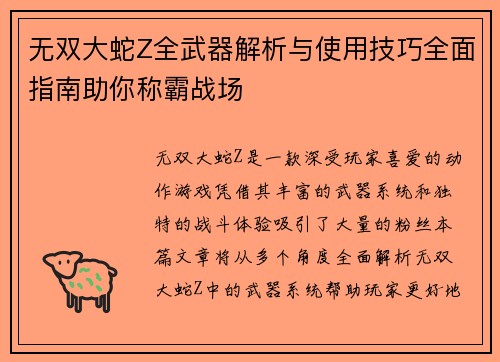 无双大蛇Z全武器解析与使用技巧全面指南助你称霸战场